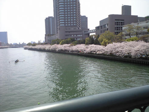 CA390598.JPG