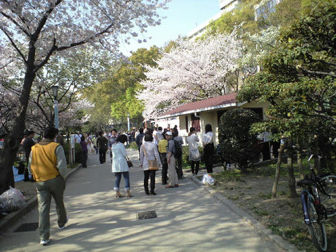 CA390601.JPG