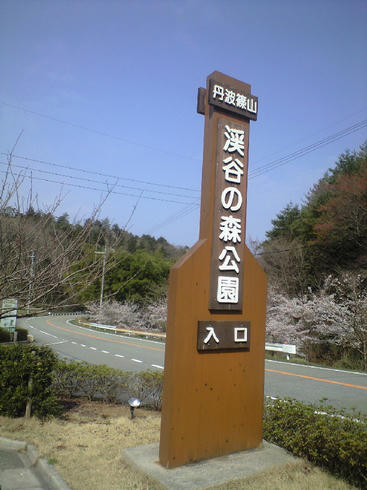 b41d10c5.jpg