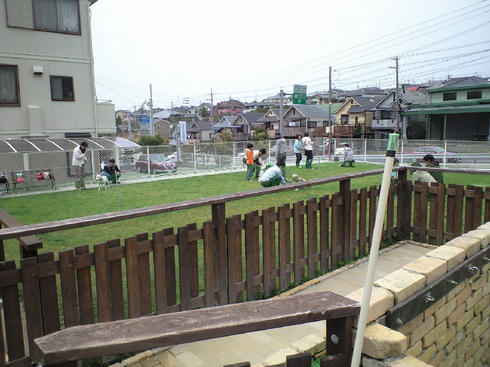 ac01289b.jpg