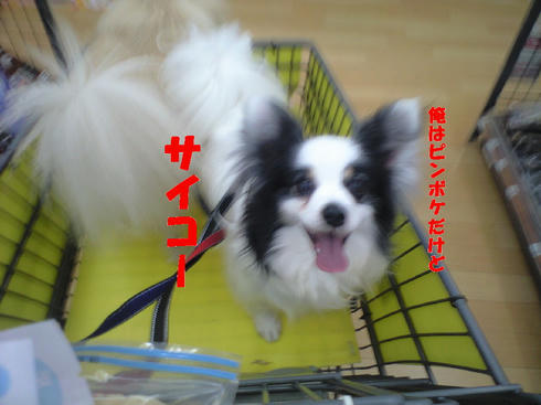 16f8ba42.jpg
