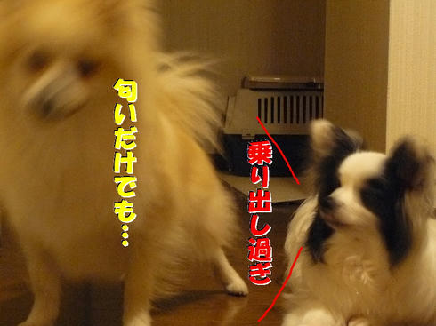 26f037e9.jpg
