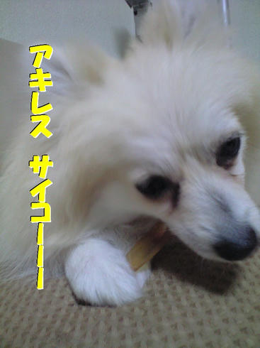 CA390609.JPG