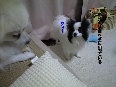 CA390610.JPG
