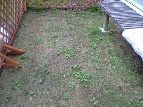 CA390591.JPG