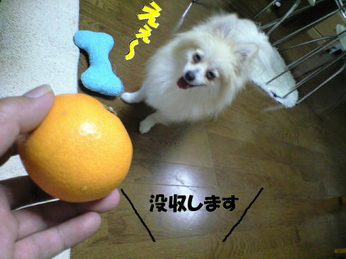 CA390603.JPG
