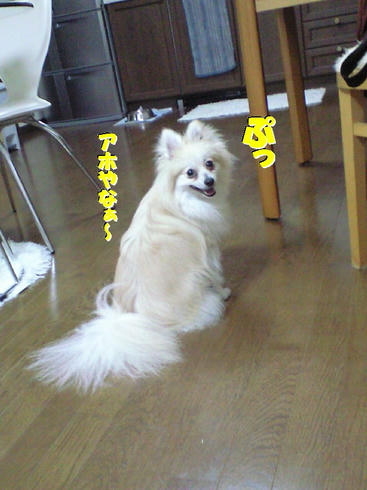 d7c7d830.JPG