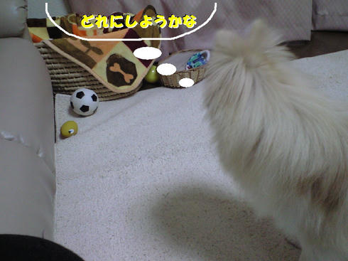 CA390613.JPG