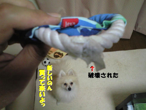 CA390621.JPG