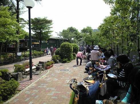 58a78396.JPG