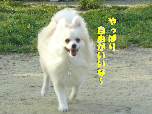 P1010795.JPG
