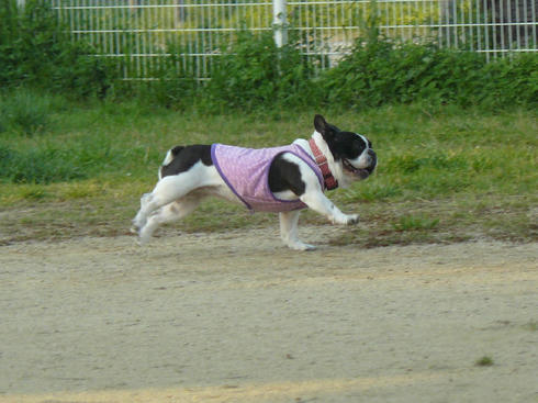 P1010836.JPG