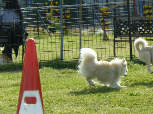 P1020130.JPG