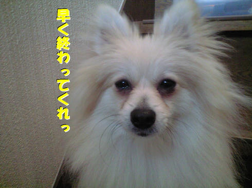 c1d27c93.JPG