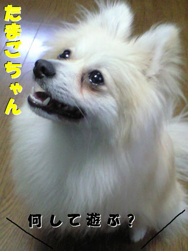 CA390632.JPG