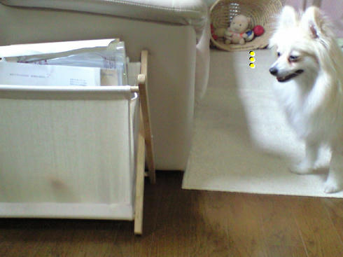 CA390633.JPG