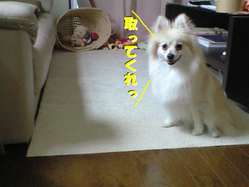 CA390634.JPG
