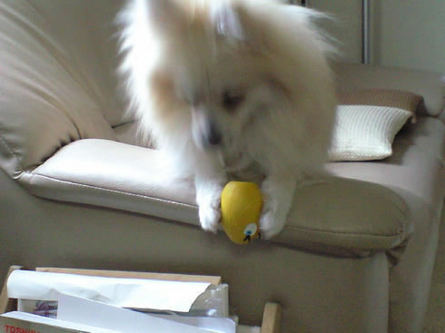 CA390637.JPG