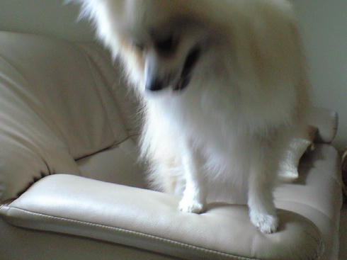CA390638.JPG