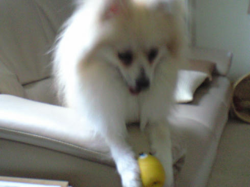 CA390640.JPG