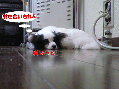CA390650.JPG