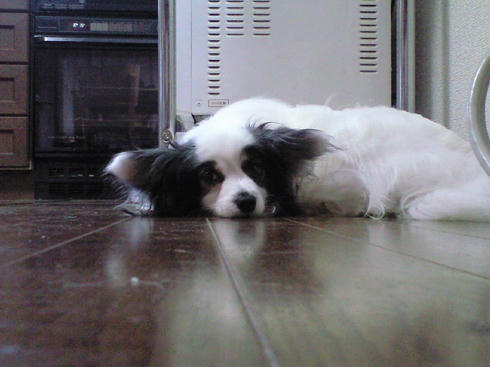 CA390651.JPG