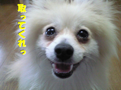 CA390666.JPG