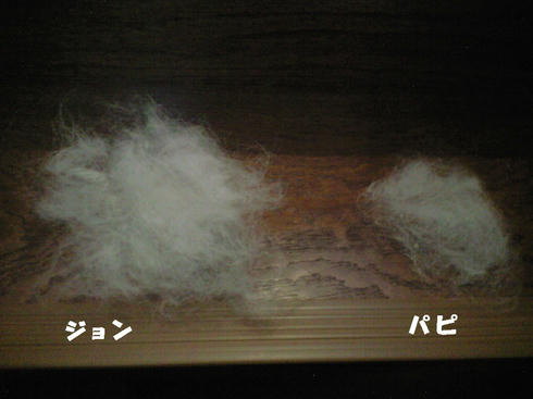 50b69fc1.JPG