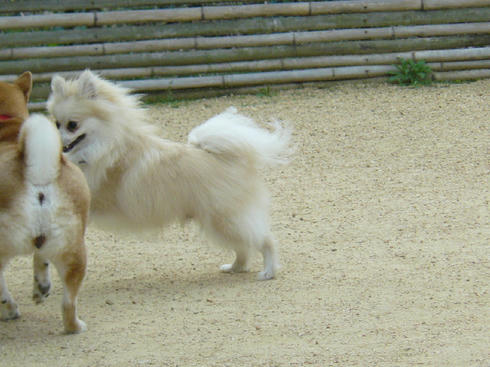 P1020199.JPG