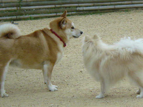 P1020200.JPG