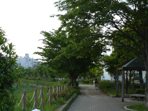 P1020239.JPG