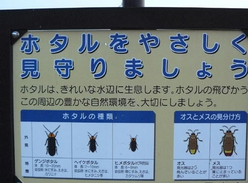 P1020245.JPG