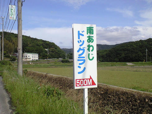 CA390647.JPG