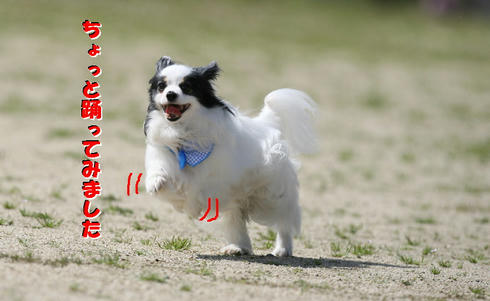 6cc5fddc.jpg