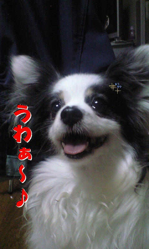 CA390667.JPG