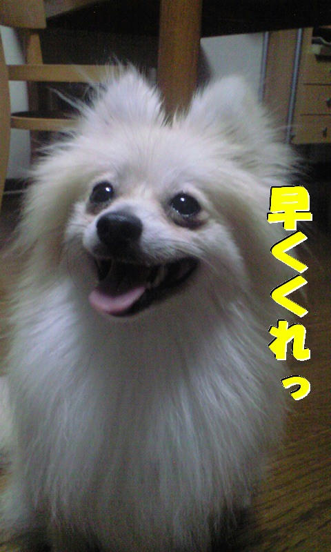 be404991.JPG
