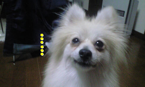 CA390671.JPG