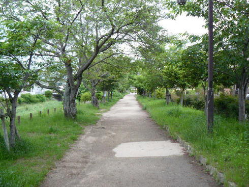 P1020449.JPG