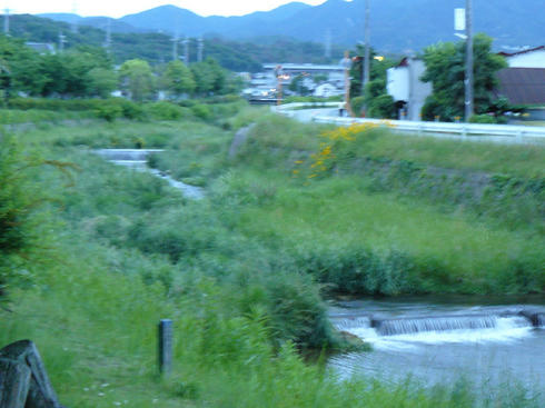 P1020464.JPG