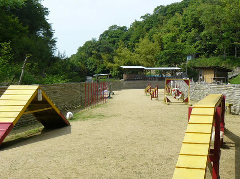 P1020483.JPG