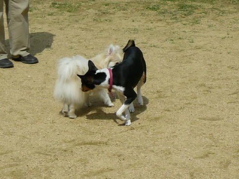 P1020487.JPG