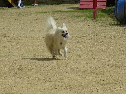 P1020500.JPG