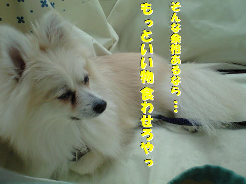 206a1561.jpg