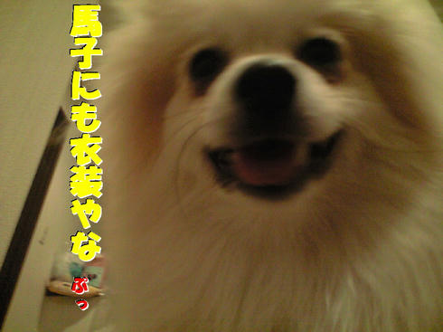 73d6b79f.jpg