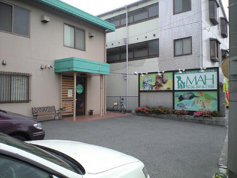 b9059fb1.JPG
