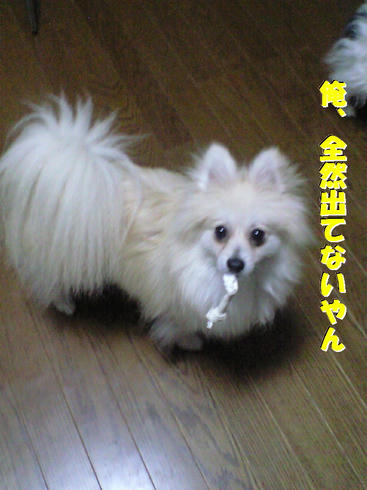 c8bd55de.jpg
