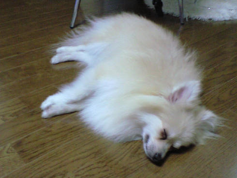 CA390715.JPG