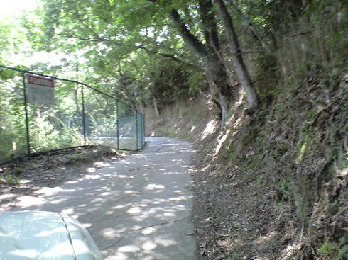 CA390718.JPG