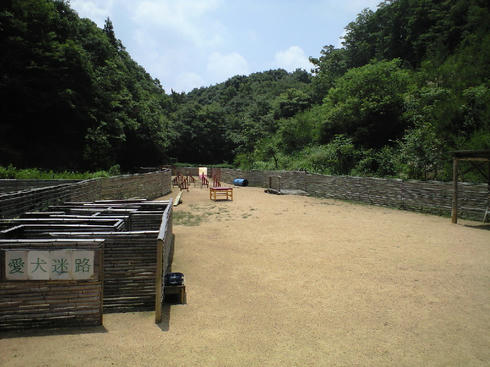 CA390720.JPG