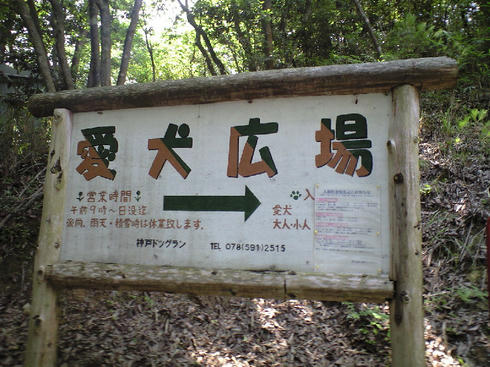 CA390724.JPG